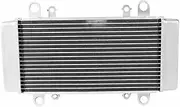 Engine Radiator Fit for Kawasaki Ninja 300 EX300 EX 300 EX-300 2013-2017 2016 Motorcycle Radiator Cooler Cooling Radiator Grille