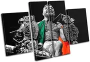 Bold Bloc Design - Conor McGregor UFC Pop Art Comic Sports 280x180cm MULTI Canvas Art Print Box Framed Picture Wall Hanging - Hand Made In The UK - Framed And Ready To Hang 0021-0025(00B)-MP17-LO-D