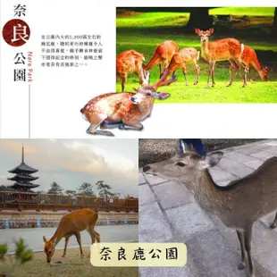 【吉航旅遊】京阪神通天閣螃蟹海鮮和牛吃到飽嵐山渡月橋清水寺有馬溫泉神戶港散策明石大橋五日-泰越捷航空