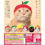 貓咪專屬頭巾P8 水果篇 扭蛋玩具