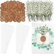 Spakon 100 Pcs Clear Invitation Bands for 5 x 7 Wedding Invitations Vellum Belly Band with 50 Pcs Gold Wax Seal Stickers 100 Pcs Dried Baby's Breath Flowers for Wedding Invitation Wraps Accessories