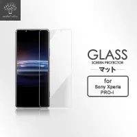 在飛比找momo購物網優惠-【Metal-Slim】Sony Xperia PRO-I(