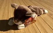 Ty Beanie Baby Pounce Burmese Brown Cat Plush Retired w/Tags