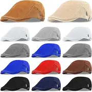 [Marsui] 14 Pcs Newsboy Cap for Men Mesh Flat Caps Summer Breathable Mesh Newsboy Caps Adjustable Men's Beret for Hunting Driving Golf, Mixed Color, 1