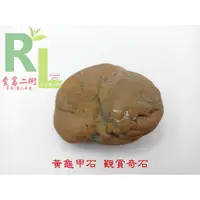 在飛比找蝦皮購物優惠-黃龜甲石 自然龜裂紋 美石 290g 天然水洗 台灣雅石 自