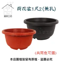 在飛比找PChome24h購物優惠-荷花盆1尺2(無孔)