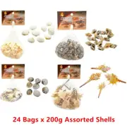 (24 BAGS) Decorative Sea Shell Conch Snail Clam Aquarium Fish Tank Craft Art