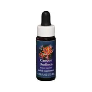 Fes Flower Essences FES Quintessentials Canyon Dudleya 7.5ml