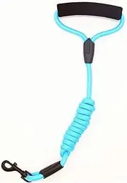 Dog Leash Running Walk Train for Large Small Cat Pets Leashes Dogs Leash Rope Nylon Tenacity 7 Colors 3 Sizes (Color : Blue, Size : M 0.8CM 120CM)