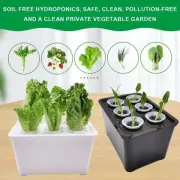 Plant Seed Seedling Pot Hydroponic Plant Flowerpot Grid Vegetable Planting Box