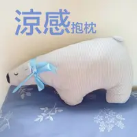 在飛比找蝦皮購物優惠-（日本涼感北極熊抱枕） 涼感 夏季 抱枕 兒童抱枕 夾枕頭 