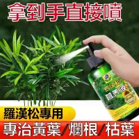 在飛比找蝦皮購物優惠-羅漢鬆 專用 營養液 有機肥料 免稀釋 室內 盆栽 植物 通