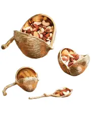 Global Views Chestnut Bowl