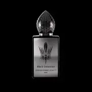 Stephane Humbert Lucas Black Gemstone EDP