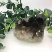 Smoky Quartz Crystal Cluster D 3.5"