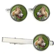 Pit Bull set of clips in a box with a picture Art-Dog