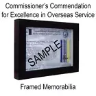 AFP Commissioner’s Commendation for Excellence in Overseas Service - Platypus