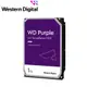 WD10PURZ 紫標 1TB 3.5吋監控系統硬碟 現貨 廠商直送