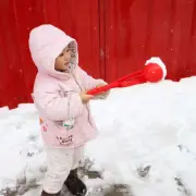 Winter Ball Maker Mold Sand Tool Kids Toy Snowball Gift Kids plastics Toy G8M6