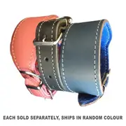 [Elite Pet Products] Pet Whippet Collar 40cm