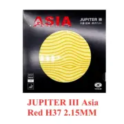 Jupiter Iii/Jupiter 3 AISA Table Tennis Rubber Non-Tacky Rubber Cake Sponge Back