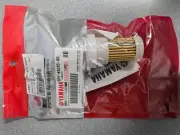 NEW Yamaha OEM Fuel Filter 6P2-WS245-00-00