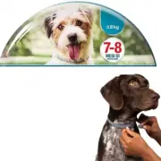Dog anti Flea and Tick Collars,Pet 8Month Protection Adjustable Collar for Large