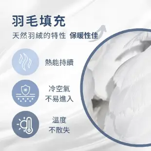 【GNITE】台灣製造 天然水鳥羽毛石墨烯被(2.5kg/雙人被/發熱被/棉被/被子/冬被/被胎/石墨烯被/羽毛被)