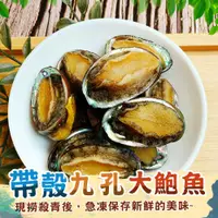 在飛比找蝦皮商城優惠-九孔帶殼鮑魚-16顆/18顆/24顆 /26顆 /36顆【歐