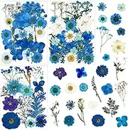 85 Pcs Blue Pressed Dried Flowers for Resin Molds, Real Natural Flowers Leaves Bulk for DIY Art Nail Crafts, Jewelry, Candle, Soap Making