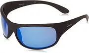 [Polaroid] Eyewear Unisex 07886 Sunglasses, Matte Black, 66 mm
