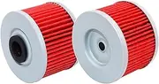 Oil Filter For BN125 NINJA 125 Z125 KL250 KLX 110 125 140 150 Z250SL BX250 KLX250 KLX300R KLX450R KSR110 KX450F(2pcs Red)