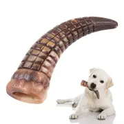 Dinosaur Claws Dog Chew Toys