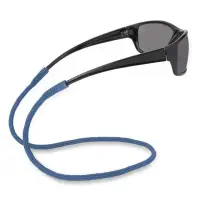 在飛比找momo購物網優惠-【CARSON 卡薾紳】Gripz矽膠運動眼鏡帶 普魯士藍(