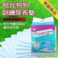 在飛比找Yahoo!奇摩拍賣優惠-【哈比狗狗訓練尿布墊】6包裝!超吸水狗尿布;除臭抗菌不加Ag