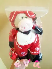在飛比找Yahoo!奇摩拍賣優惠-星巴克 Starbucks 絕版 豬年 生肖 小熊 熊娃娃