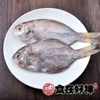 在飛比找momo購物網優惠-食在好神野生肉鯽魚 凍漲回饋組