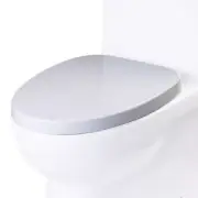 EAGO R-359SEAT Replacement Soft Closing Toilet Seat for TB359