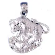14K White Gold Zodiac Taurus Pendant
