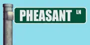 PHEASANT LN STREET SIGN LANE HEAVY DUTY ALUMINUM ROAD SIGN 17" x 4"