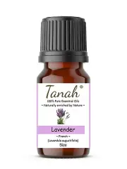 LAVENDER (French Natural) Essential Oil (Lavandula angustifolia) Tanah 100% Pure