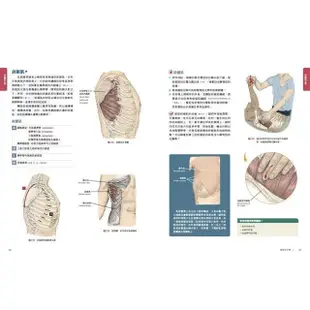 人體解剖全書 第三版【金石堂】