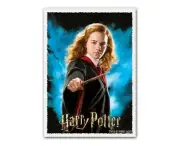 Dragon Shields Harry Potter: Hermione Granger Matte Art Standard Sleeves