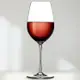 台灣現貨 歐洲《TESCOMA》水晶玻璃紅酒杯(450ml) | 調酒杯 雞尾酒杯 白酒杯