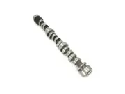 Camshaft For 1995-1999 Chevy Monte Carlo 3.1L V6 1996 1997 1998 FV764ZJ (for: Chevrolet)