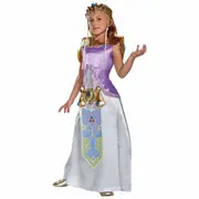 Zelda Deluxe Princess The Legend Of Zelda Video Game Child Girls Costume