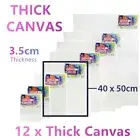 12x Large Thick Artist Blank Canvas Oil Acrylic Painting 40X50 Stretched Art