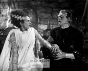 BORIS KARLOFF & ELSA LANCHESTER IN "BRIDE OF FRANKENSTEIN" - 8X10 PHOTO (MW-064)