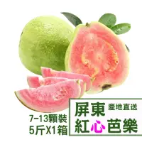 在飛比找momo購物網優惠-【產地直送】屏東紅心芭樂5台斤X1箱(7-13顆/箱)