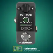 TC Electronic Ditto+ Looper - Brand New (Ditto Plus)